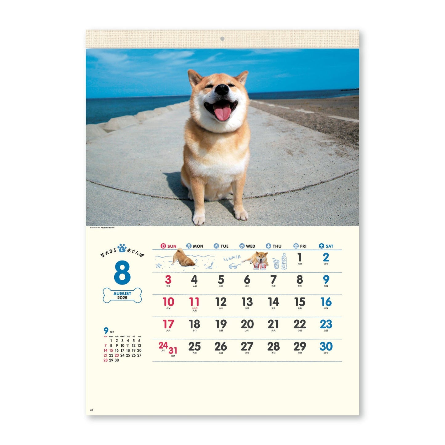 NK-35 柴犬まるとおさんぽカレンダー